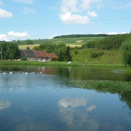 Bed and Breakfast Domaine Du Moulin De L'Etang Chatillon-sur-Marne Екстер'єр фото