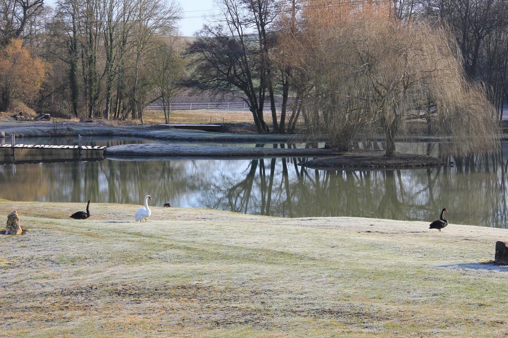 Bed and Breakfast Domaine Du Moulin De L'Etang Chatillon-sur-Marne Екстер'єр фото