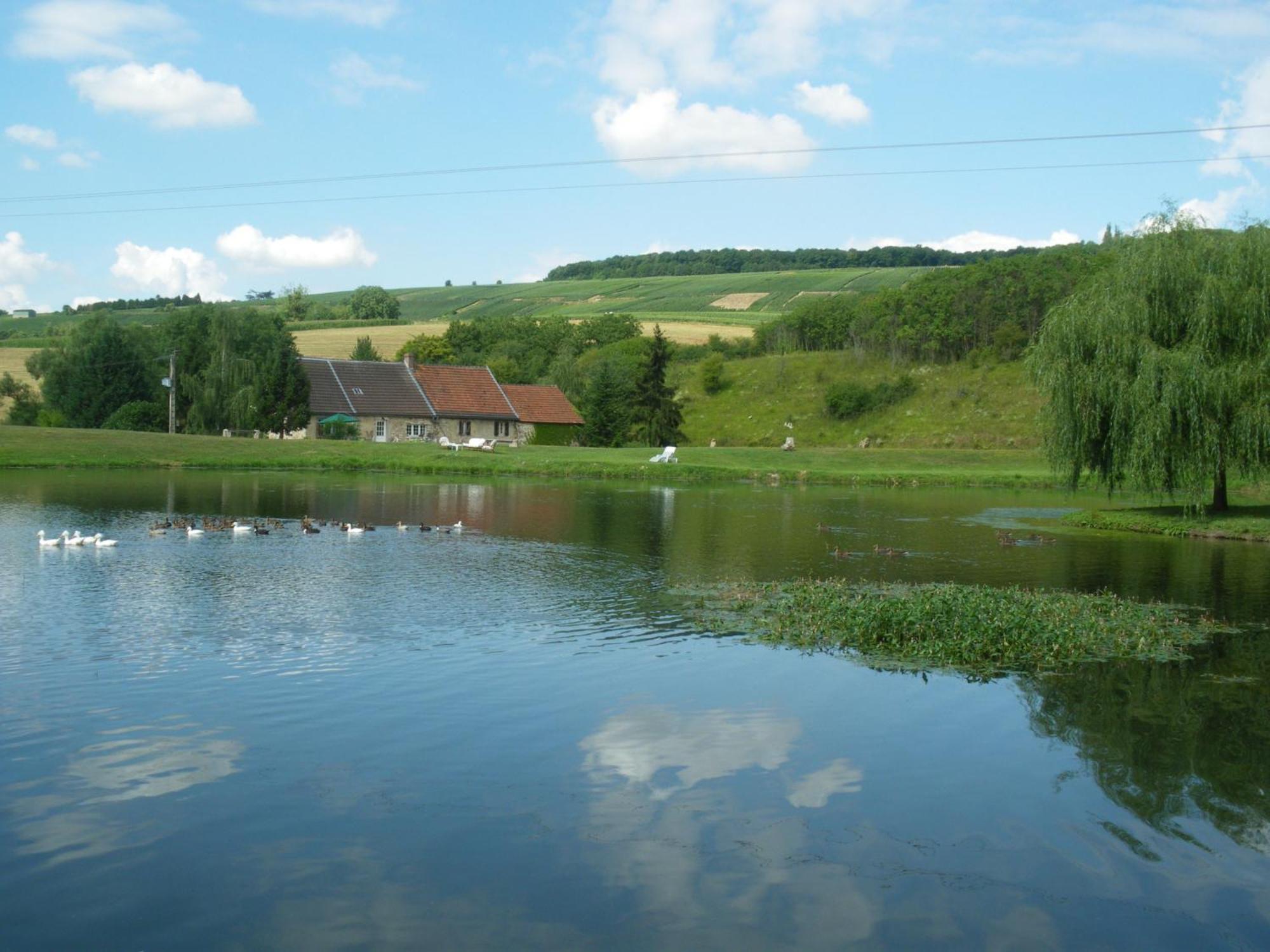 Bed and Breakfast Domaine Du Moulin De L'Etang Chatillon-sur-Marne Екстер'єр фото